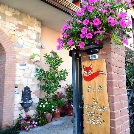 Il Ritrovo Delle Volpi Bed & Breakfast Agerola Dış mekan fotoğraf