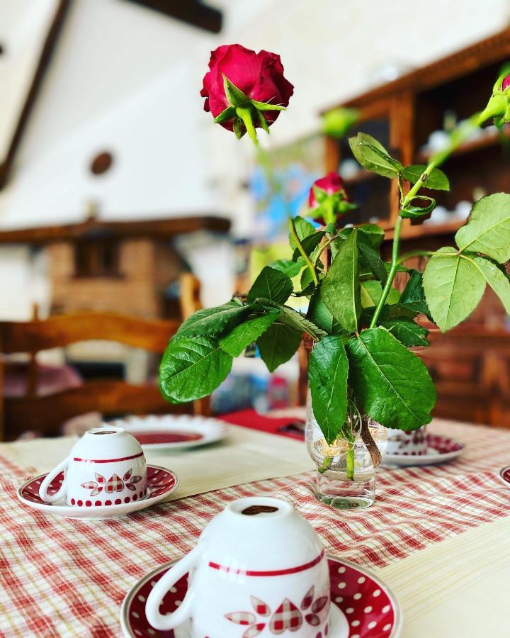 Il Ritrovo Delle Volpi Bed & Breakfast Agerola Dış mekan fotoğraf