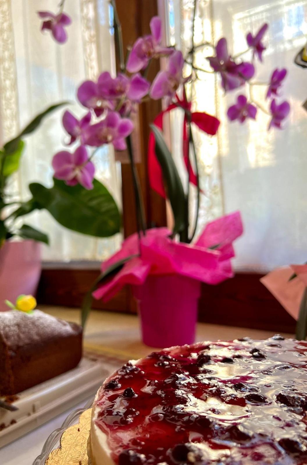 Il Ritrovo Delle Volpi Bed & Breakfast Agerola Dış mekan fotoğraf
