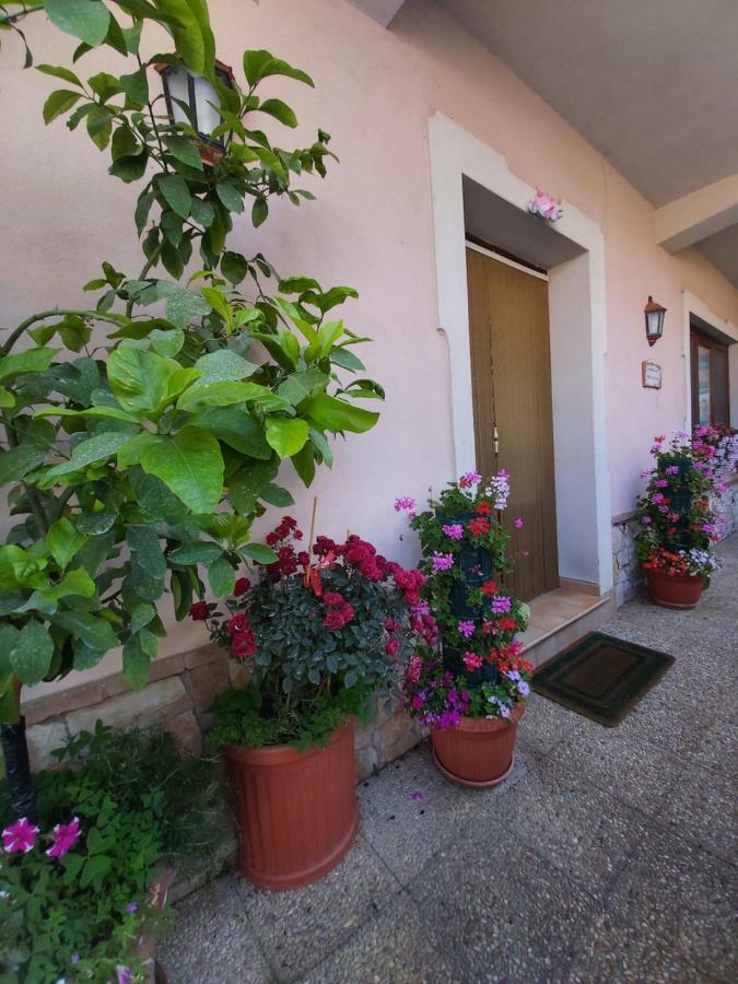 Il Ritrovo Delle Volpi Bed & Breakfast Agerola Dış mekan fotoğraf